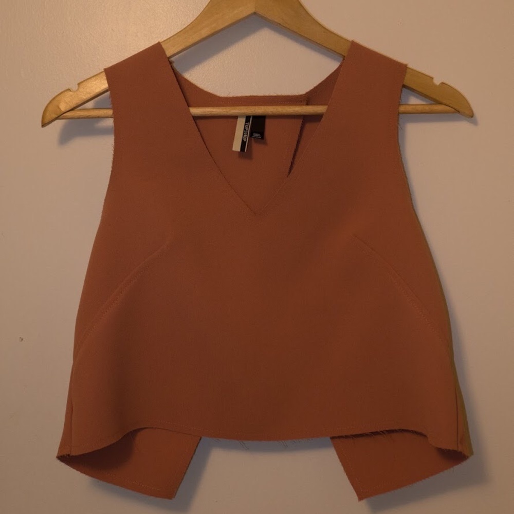 Topshop Designer Crop Top